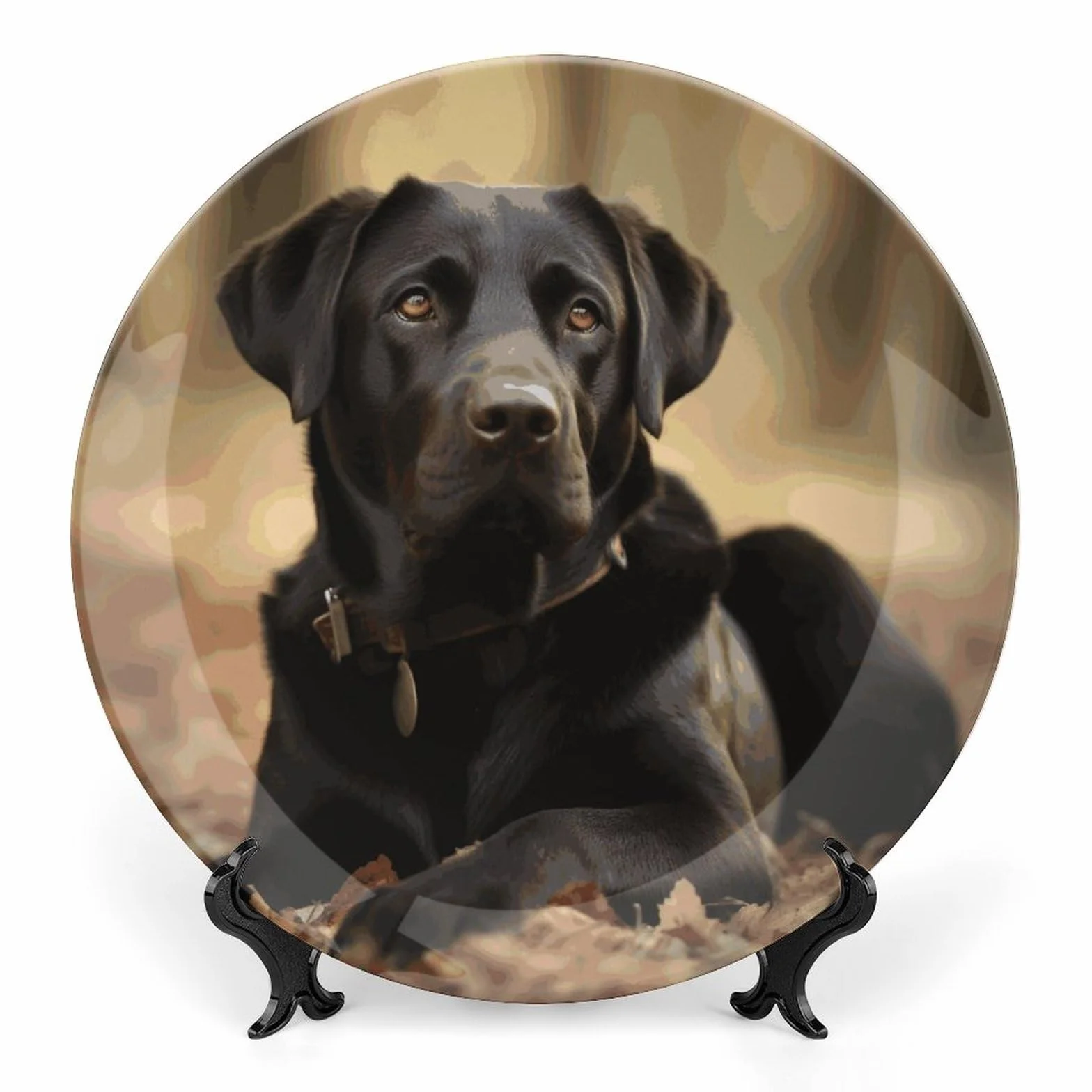 Piatti decorativi in ceramica da 20,3 cm, con simpatico cane labrador, piatti decorativi in porcellana con espositore fatto a mano, ornamento in ceramica per casa, cucina, camera da letto