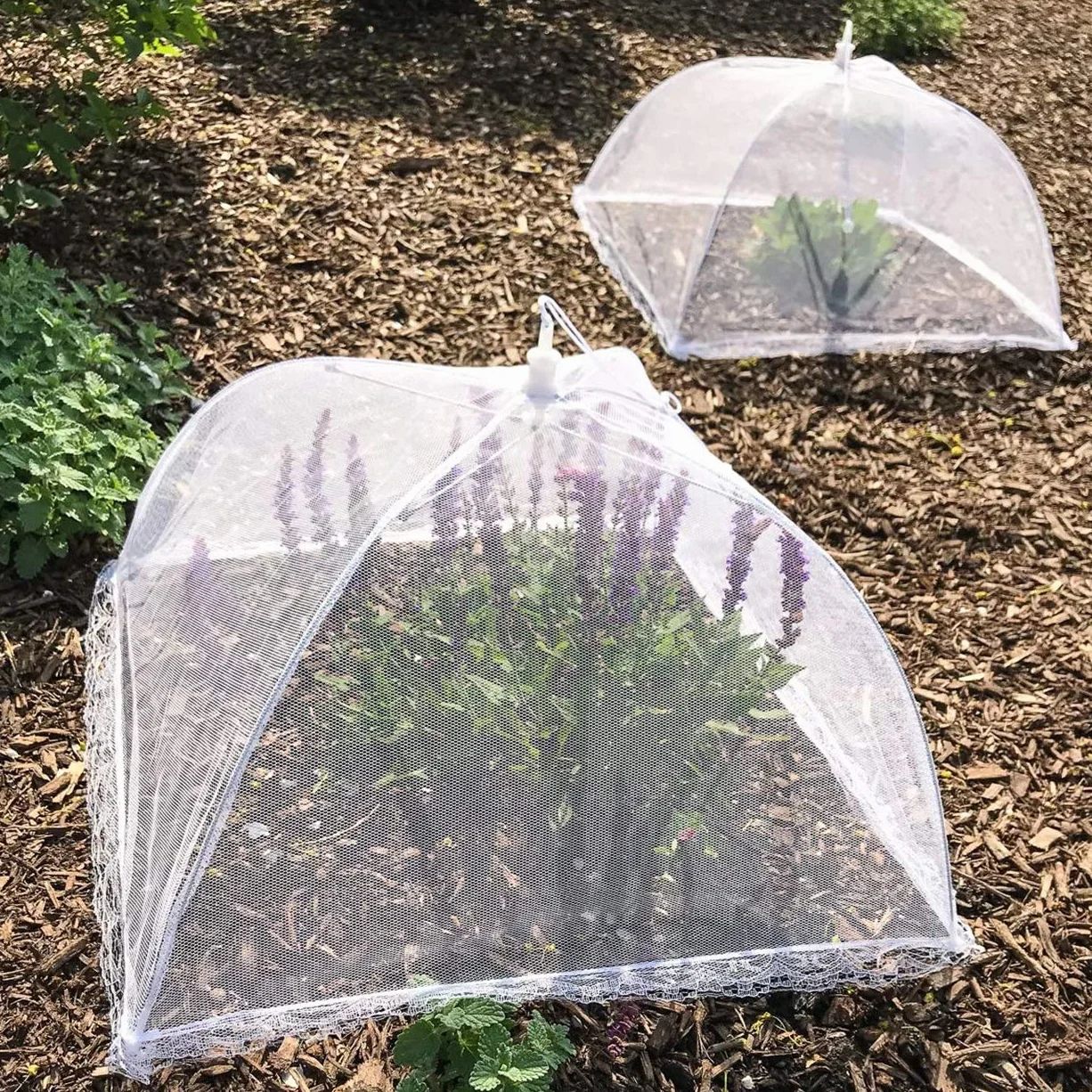 Annhao 8 Pezzi Coprivivande a Rete Pieghevole Riutilizzabili, Copri Alimenti Copertura Tende Ombrello, Tenere Fuori Mosche, Bug, zanzare, Ideali Sia per l'interno Che per l'esterno - Bianca