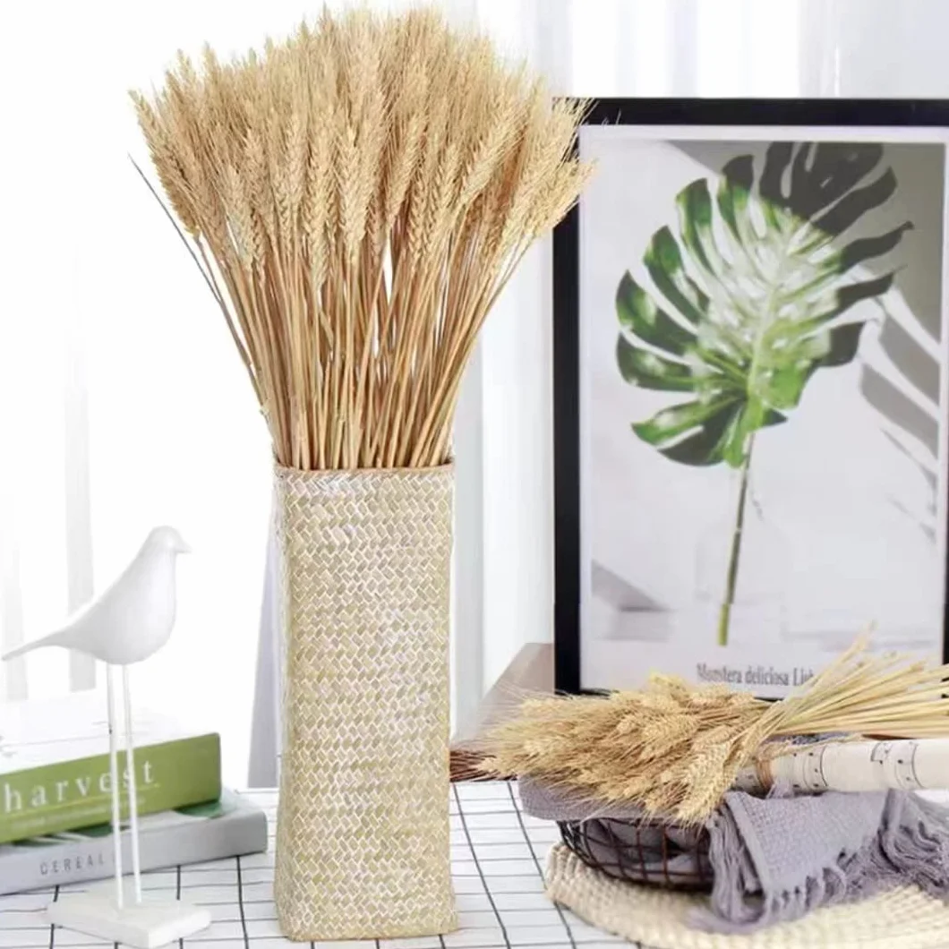 100 Steli Spighe di Grano Secche Spighe di Grano Decorative Fiori Secchi Naturali Spighe di Grano Decorative per Bomboniere 40 cm
