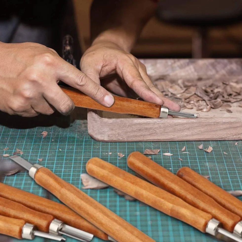 HOSPAOP Set di Attrezzi per Intaglio del Legno - 12 Coltelli da Intaglio in Legno e una Pietra per Affilare per Adulti e Bambini, Utensili per Intagliare Legno, Frutta, Verdura, Intaglio Fai da Te