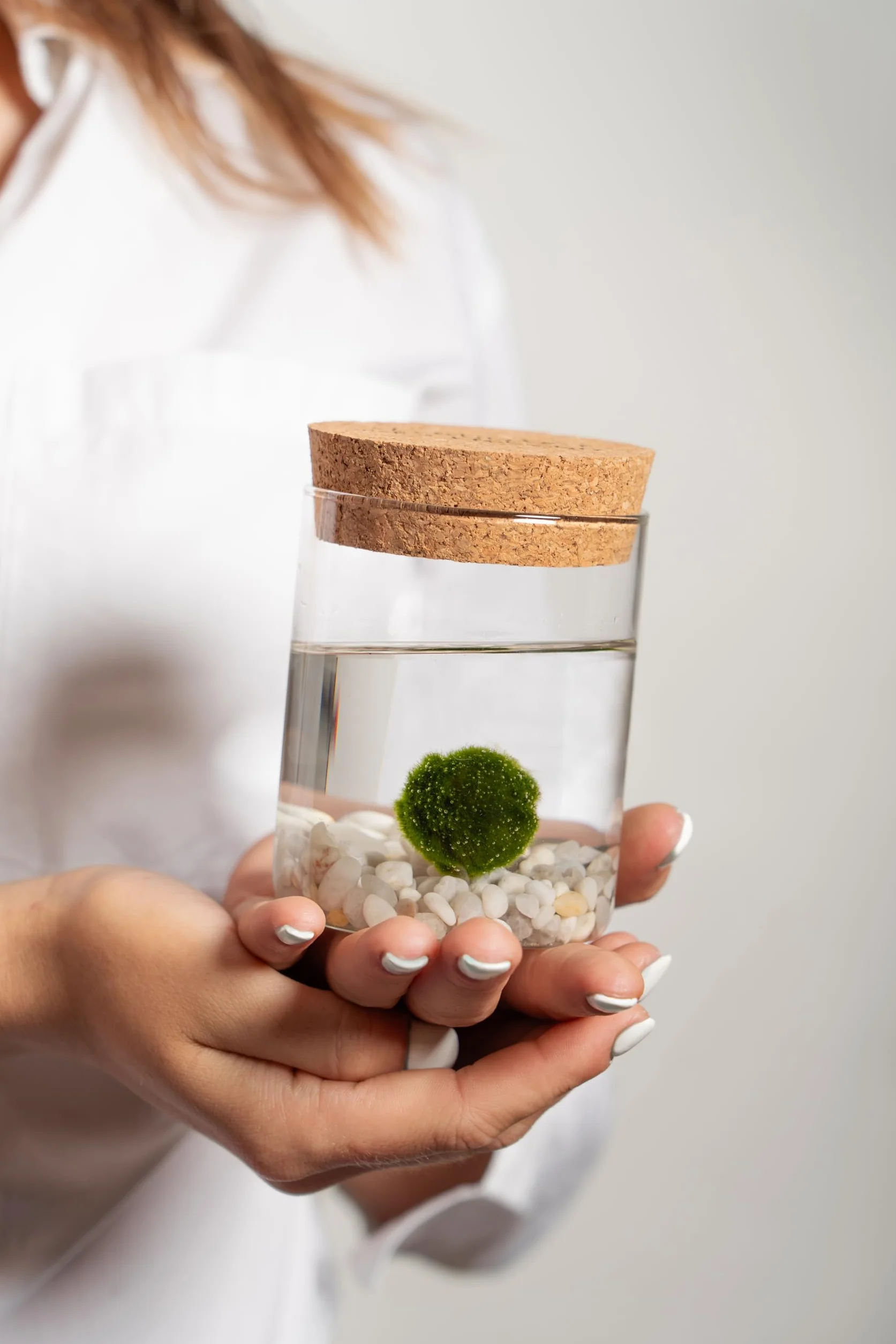 KAKI La Felicità è Nelle Piccole Cose Marimo Singolo Originale Vaso Vetro con Tappo Sughero, Diametro 8cm, Altezza 11cm, Made in Italy