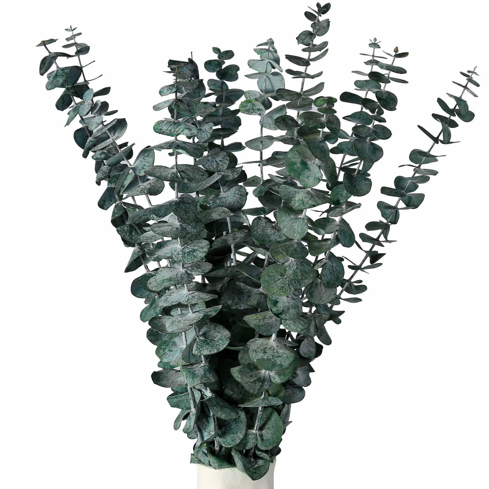 Eucalipto essiccato, 15 pezzi, fiori secchi naturali, eucalipto, fiori secchi per sempre, decorazione per il matrimonio perfetto, composizioni floreali, YJL15