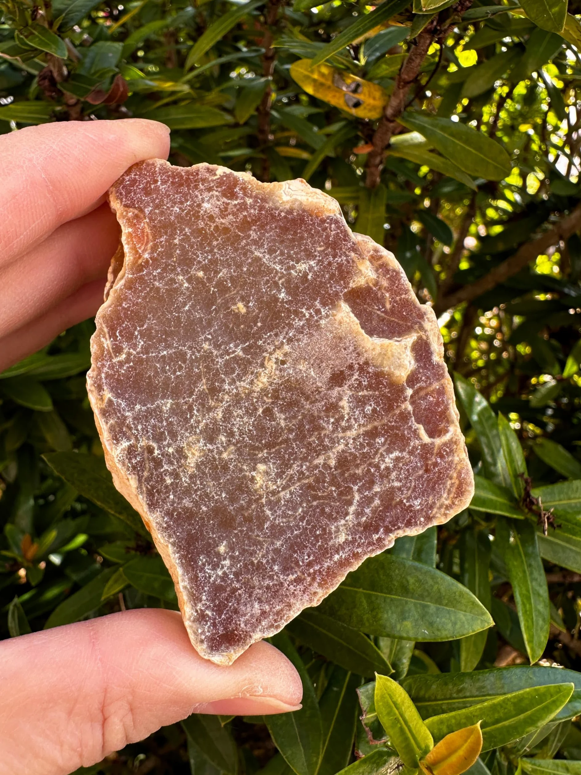 Corniola grezza grande, pietra corniola naturale, 1 pezzo